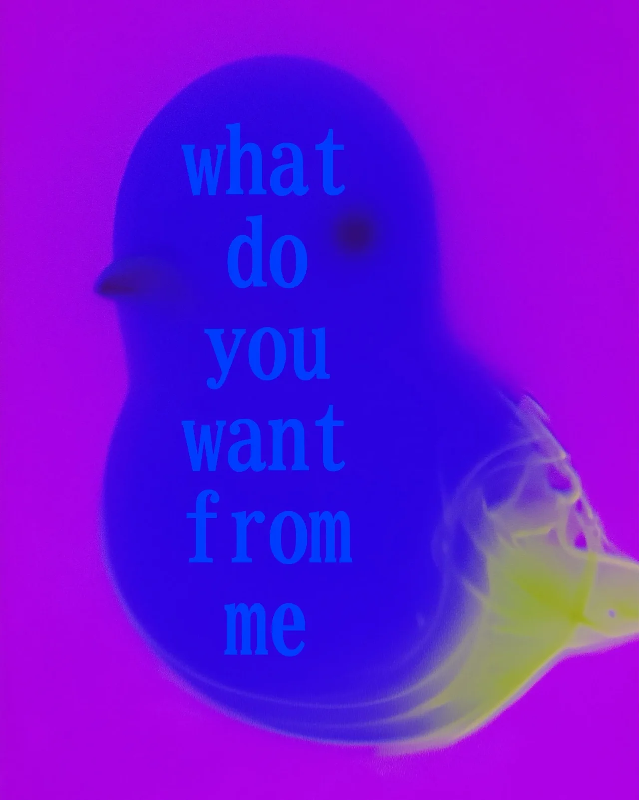 aHR0cHM6Ly9tYWdpYy5kZWNlbnRyYWxpemVkLWNvbnRlbnQuY29tL2lwZnMvYmFmeWJlaWFzZmJ0Nmo3YWM2cGY0Y3d5Yzd4b3ZhdHpiZzRhenN4Y2lmZXhiZ3c1MnF4dXozN2JoZDQ=