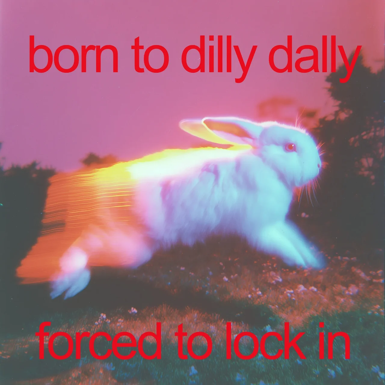 aHR0cHM6Ly9tYWdpYy5kZWNlbnRyYWxpemVkLWNvbnRlbnQuY29tL2lwZnMvYmFmeWJlaWdpM2E0aHNoZ2poZndkN25lbzduMzZ0aXc1ZjJjZDR5a2h4dnE3aml4Y3B5aWtqeDV6amk=